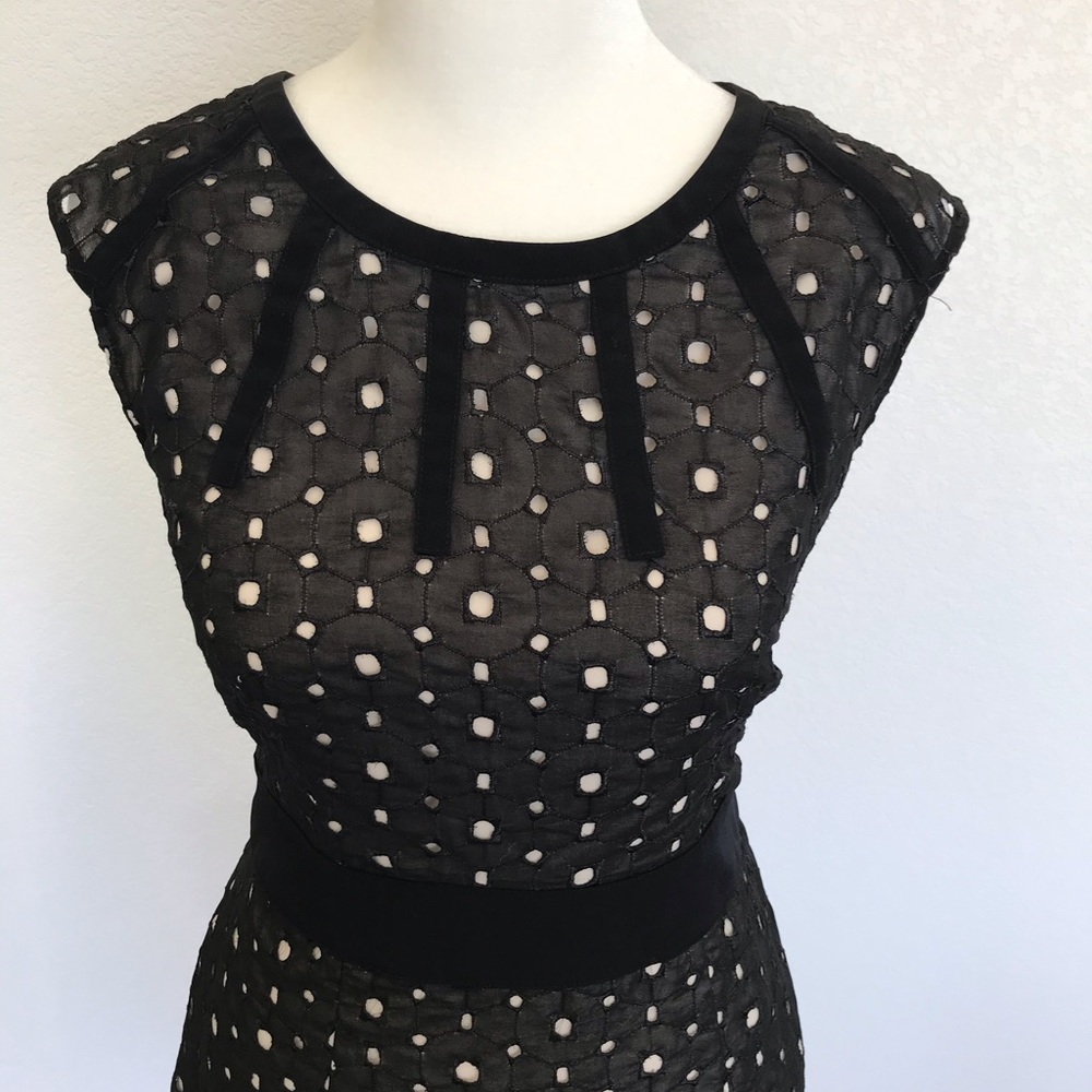 The Limited Black and Cream Dress